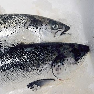 新發(fā)地三文魚案板檢測出新冠病毒，,，北京多家超市連夜下架三文魚,，北京新增三個病例